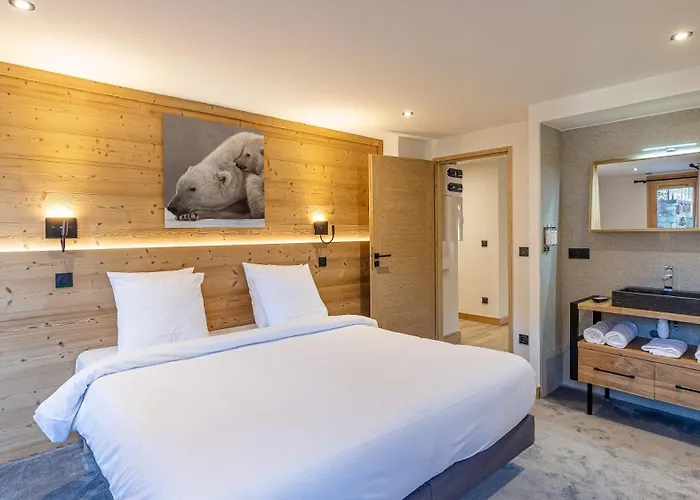 W 2050 - Belle Plagne