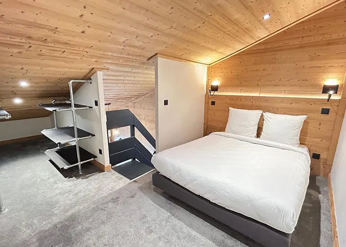 W 2050 - Belle Plagne